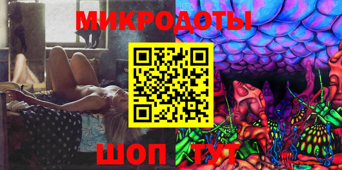Псилоцибиновые грибы Psilocybe Кубинка