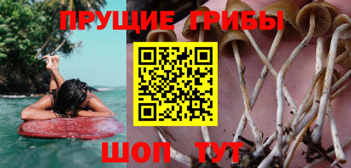 Кубинка  Галлюциногенные грибы ЛСД  Вход с VPN 